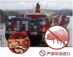 非洲豬瘟來襲，陸川豬肉還能安全食用嗎？科學解析與醫學研究進展