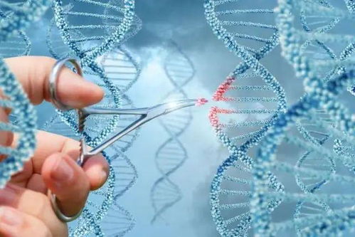 基因組學與個性化醫療 開啟定制化治療的新時代